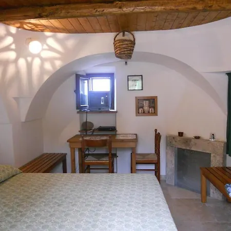 Pets Under The Sun *