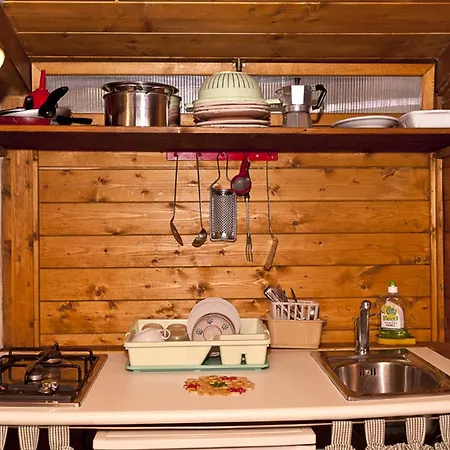 Pets Under The Sun *