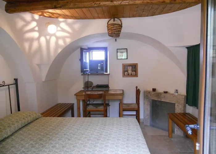 Pets Under The Sun *