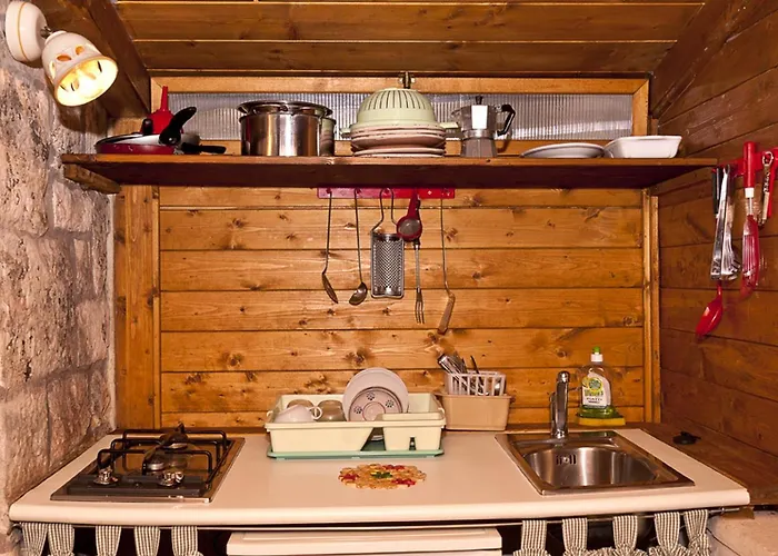 Pets Under The Sun *