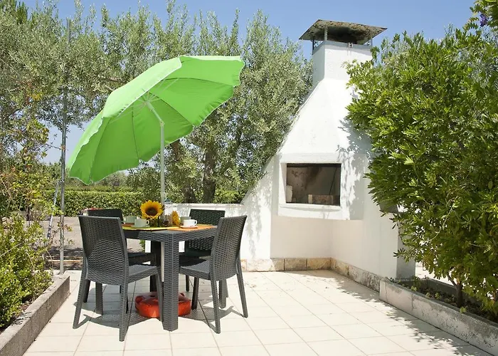 Pets Under The Sun *