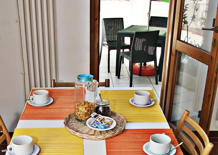 Pets Under The Sun *